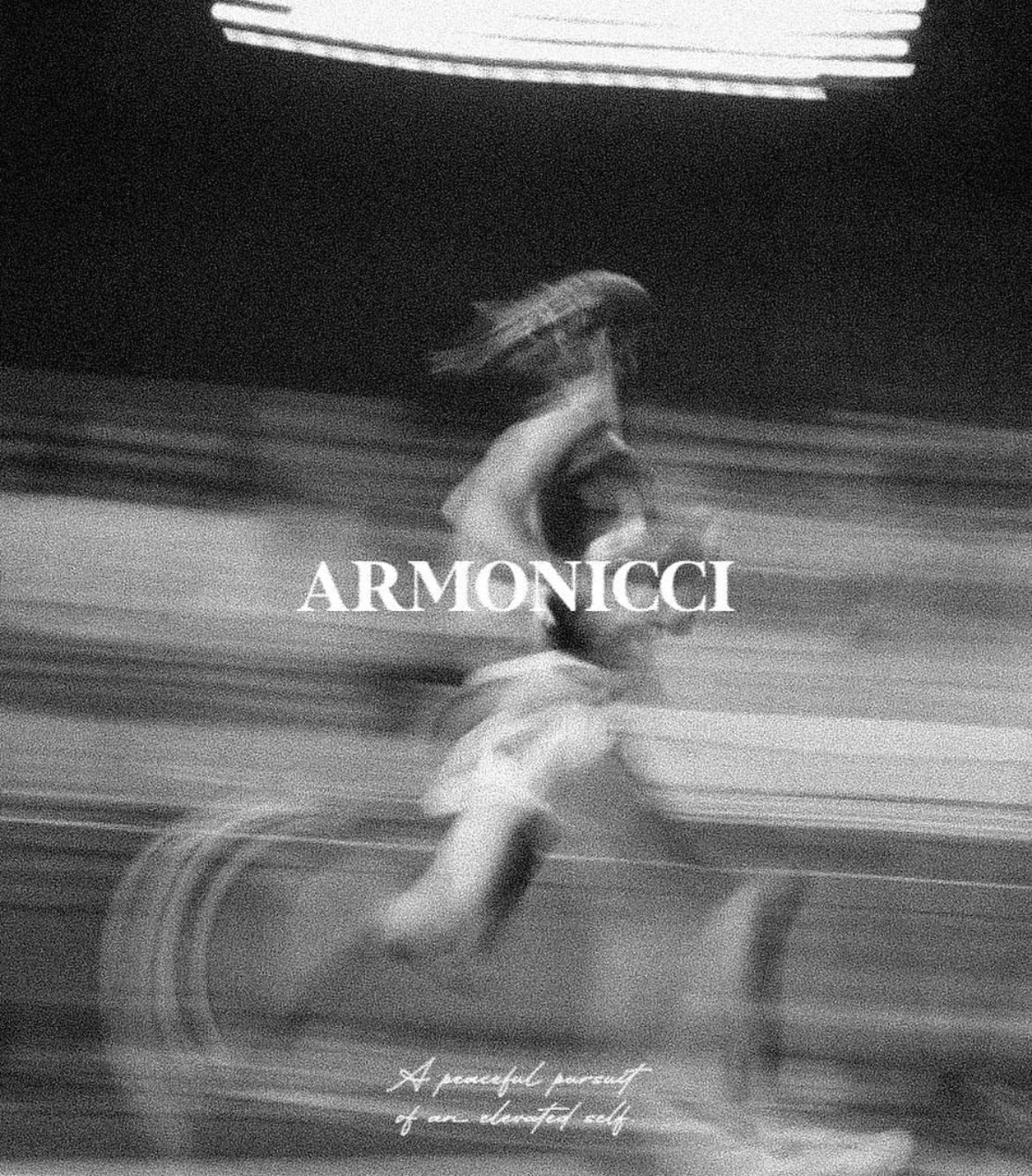 ARMONICCI: On a Pursuit